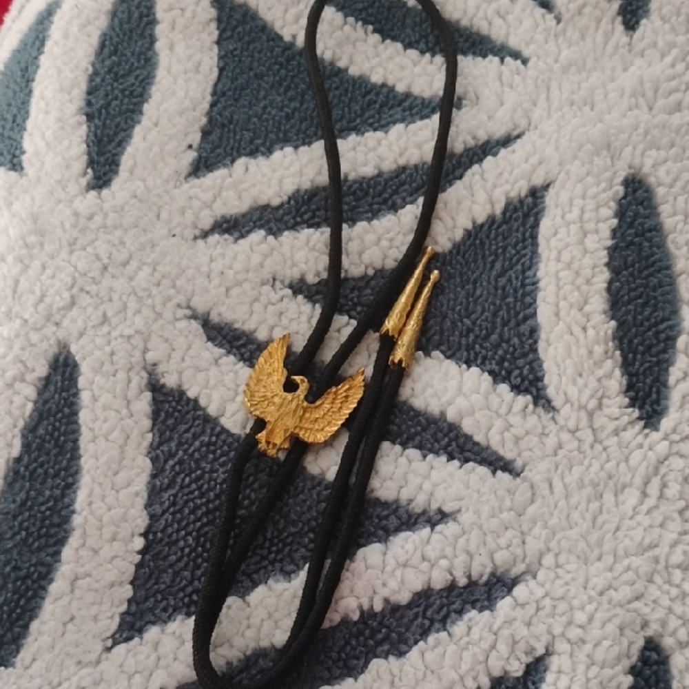 🎉Majestic Gold and Black Bolo Tie😀